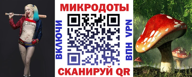Псилоцибиновые грибы прущие грибы магазин продажи Норильск